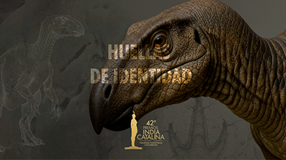 Premios India Catalina