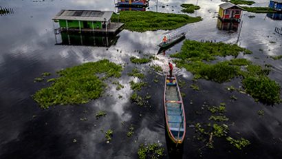 IR_Hydrilla_verticillata